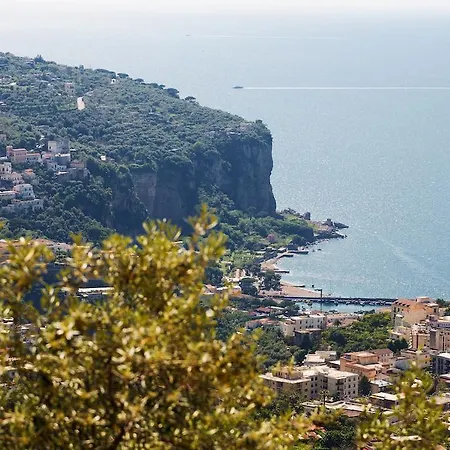 L'ulivo Vico Equense