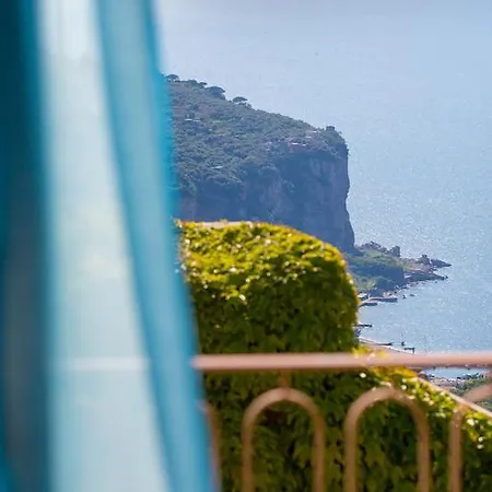 L'ulivo Affittacamere Vico Equense